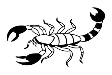 scorpion line art silhouette vector illustration
