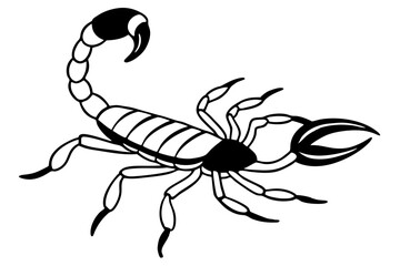 scorpion line art silhouette vector illustration