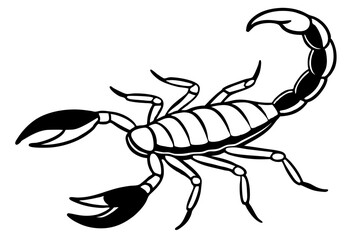 scorpion line art silhouette vector illustration