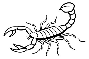 scorpion line art silhouette vector illustration
