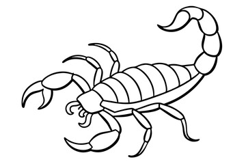 scorpion line art silhouette vector illustration