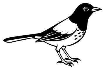 Obraz premium thrush line art silhouette vector illustration