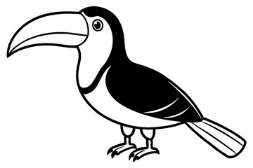 toucan line art silhouette vector illustration