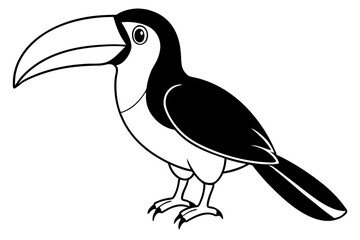 toucan line art silhouette vector illustration
