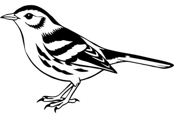 warbler line art silhouette vector illustration