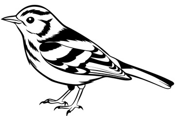 warbler line art silhouette vector illustration