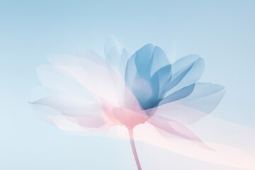 serene visual exploration into interplay of colors and shapes capturing ethereal essence of floral abstractions with