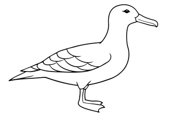 Obraz premium albatross line art silhouette vector illustration