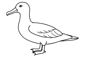 albatross line art silhouette vector illustration