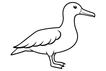 albatross line art silhouette vector illustration