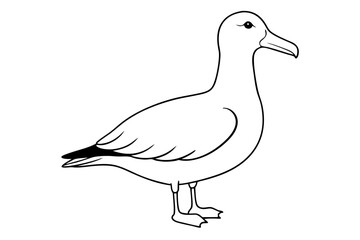 albatross line art silhouette vector illustration