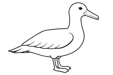 albatross line art silhouette vector illustration