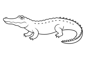 alligator line art silhouette vector illustration