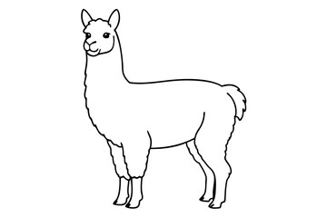 alpaca line art silhouette vector illustration