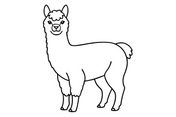 alpaca line art silhouette vector illustration