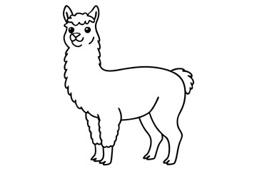 alpaca line art silhouette vector illustration
