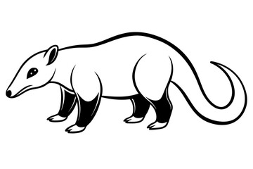 anteater line art silhouette vector illustration