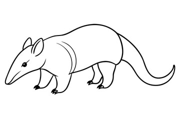 anteater line art silhouette vector illustration