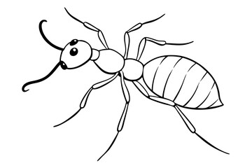 ant line art silhouette vector illustration