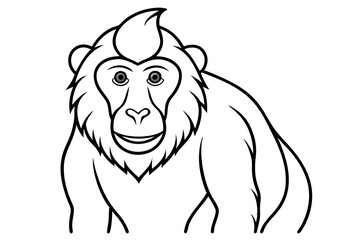 baboon line art silhouette vector illustration