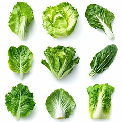 Fresh lettuce varieties, studio shot, white background, healthy food