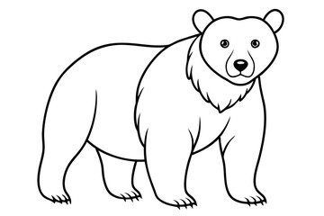 bear line art silhouette vector illustration
