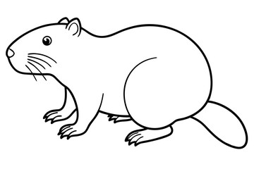 beaver line art silhouette vector illustration