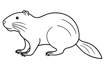 beaver line art silhouette vector illustration