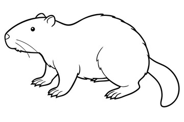 beaver line art silhouette vector illustration