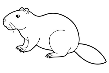 beaver line art silhouette vector illustration