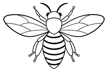 bee line art silhouette vector illustration