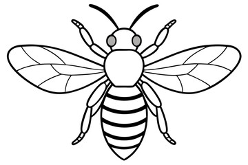 bee line art silhouette vector illustration