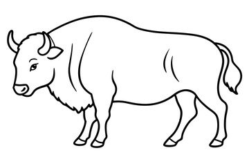 bison line art silhouette vector illustration