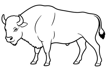 bison line art silhouette vector illustration