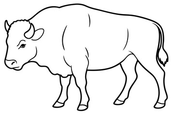 bison line art silhouette vector illustration