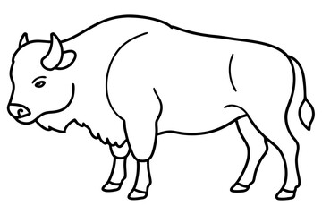 bison line art silhouette vector illustration