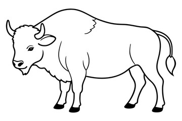 bison line art silhouette vector illustration