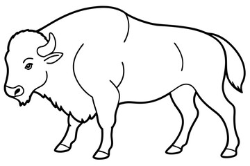 bison line art silhouette vector illustration