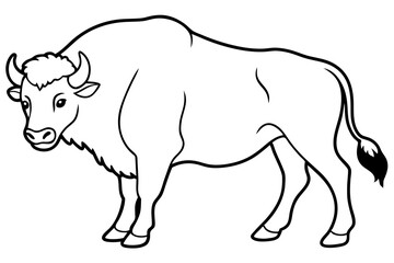 bison line art silhouette vector illustration