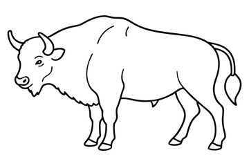 bison line art silhouette vector illustration