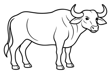 buffalo line art silhouette vector illustration