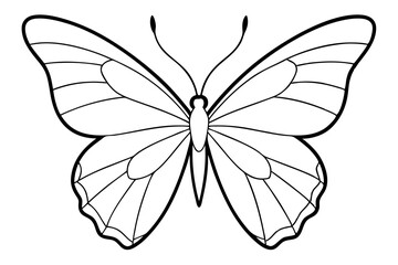 butterfly line art silhouette vector illustration