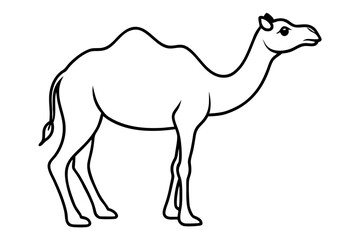 Fototapeta premium camel line art silhouette vector illustration