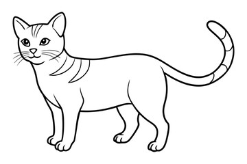 cat line art silhouette vector illustration