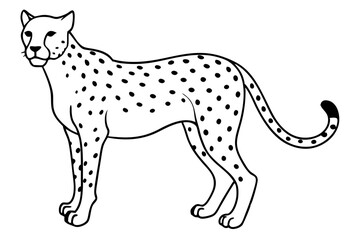 cheetah line art silhouette vector illustration