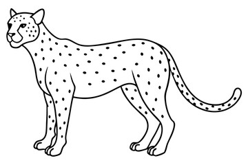 cheetah line art silhouette vector illustration