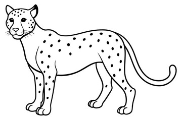 cheetah line art silhouette vector illustration