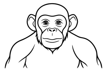 chimpanzee line art silhouette vector illustration