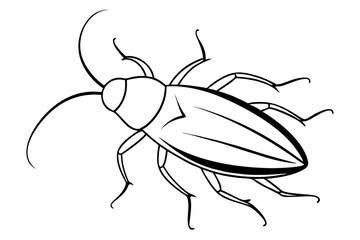 cockroach line art silhouette vector illustration