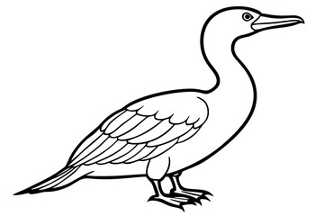 cormorant line art silhouette vector illustration
